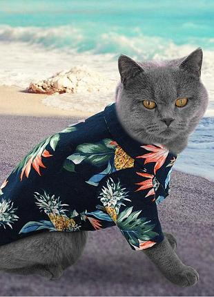 Гавайская рубашка для собак pet style черная 2xl