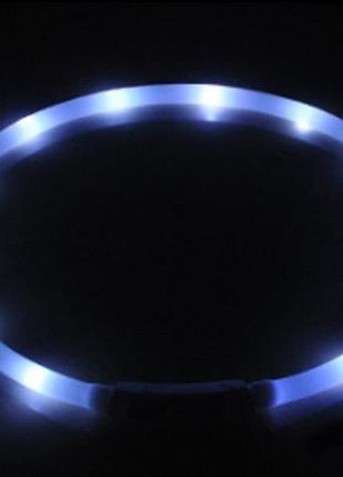 Led ошейник светодиодный для собак с usb зарядкой 50-70 см белый