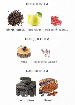 Бед бой bed boy 3
