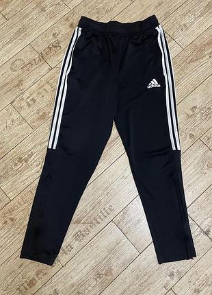 Спортивні штани adidas, l