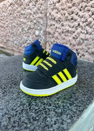 Дитячі хайтопи на липучках adidas hoops оригінал