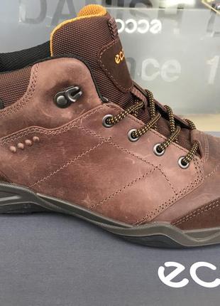 Мужские зимние ботинки   ecco sierra ii gore-tex  834554 59274