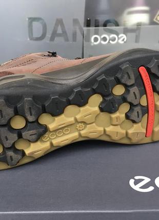 Чоловічі зимові черевики ecco sierra ii gore-tex 834554 592744 фото