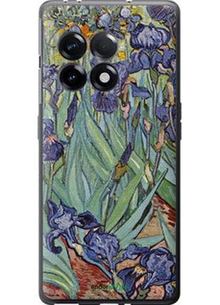 Чехол на oneplus 11r винсент ван гог. ирисы "161u-2939-2448"