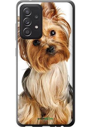 Чехол на samsung galaxy a52 йоркширский терьер с хвостиком "930u-2251-2448"