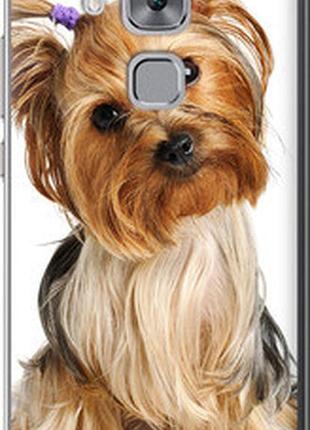 Чохол на huawei nova plus йоркширський тер'єр із хвостиком "930u-961-2448"