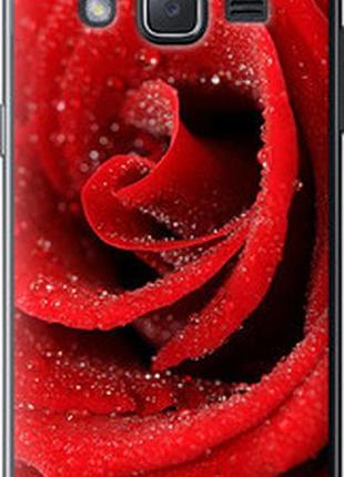 Чехол на samsung galaxy j2 j200h красная роза "529u-190-2448"
