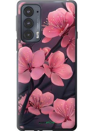 Чохол на motorola edge 20 пурпурова сакура "6075u-2497-2448"