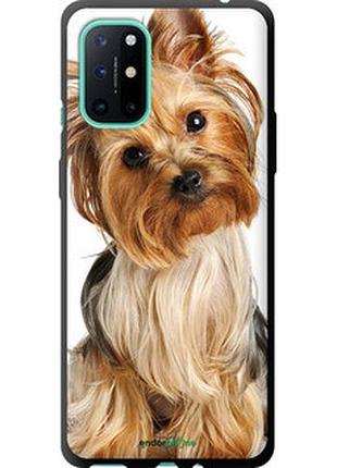 Чехол на oneplus 8t йоркширский терьер с хвостиком "930b-2113-2448"