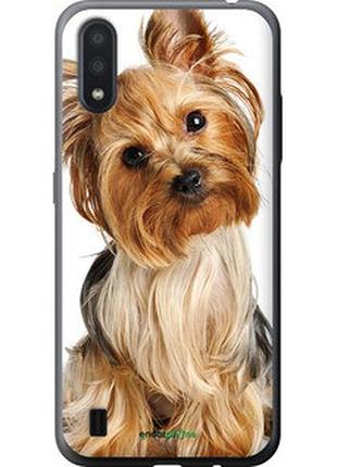 Чохол на samsung galaxy a01 a01f йоркширський тер'єр з хвостиком "9307-1842-2448"
