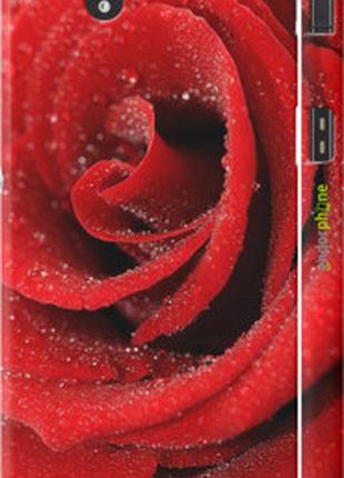 Чехол на sony xperia z c6602 красная роза "529m-40-2448"
