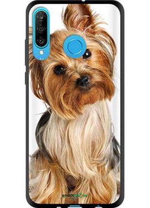 Чехол на huawei p30 lite йоркширский терьер с хвостиком "930b-1651-2448"