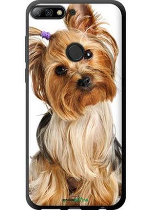 Чохол на huawei honor 7c pro йоркширський тер'єр з хвостиком "930b-2070-2448"