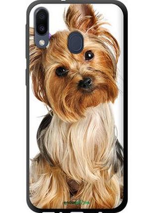 Чехол на samsung galaxy m20 йоркширский терьер с хвостиком "930b-1660-2448"