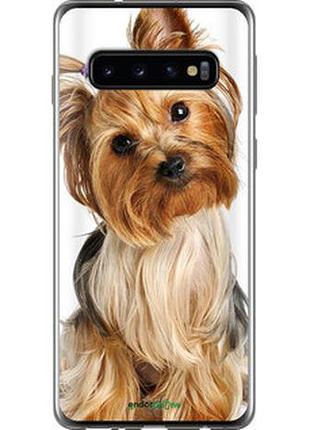 Чехол на samsung galaxy s10 йоркширский терьер с хвостиком "930u-1640-2448"
