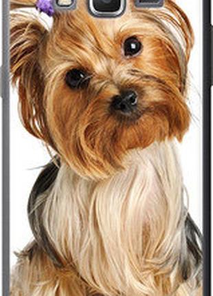 Чохол на samsung galaxy grand prime ve g531h йоркширський тер'єр із хвостиком "9307-212-2448"