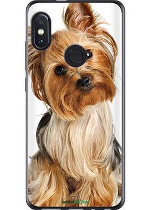 Чохол на xiaomi redmi note 5 pro йоркширський тер'єр із хвостиком "930u-1353-2448"