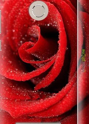 Чехол на xiaomi redmi 3s красная роза "529m-357-2448"