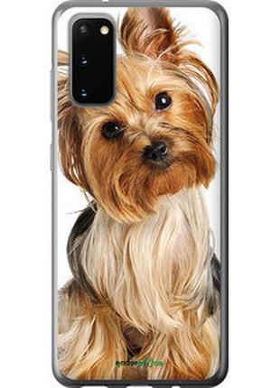 Чехол на samsung galaxy s20 йоркширский терьер с хвостиком "930u-1824-2448"