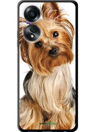 Чохол на oppo a58 4g йоркширський тер'єр із хвостиком "930b-3184-2448"