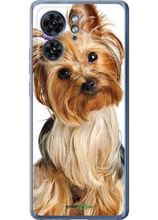 Чехол на motorola edge 40 йоркширский терьер с хвостиком "930u-3335-2448"