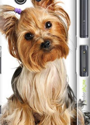 Чохол на sony xperia z3 compact d5803 йоркширський тер'єр з хвостиком "9304-277-2448"