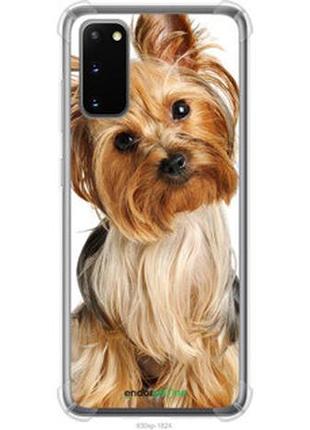 Чехол на samsung galaxy s20 йоркширский терьер с хвостиком "930sp-1824-2448"