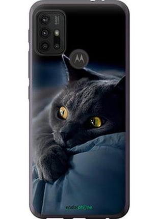 Чохол на motorola moto g20 димчастий кіт "825u-2461-2448"