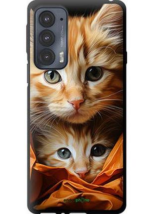 Чехол на motorola edge 20 котики 2 "5664b-2497-2448"