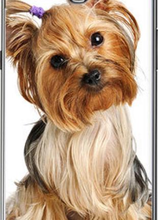 Чохол на samsung galaxy note 2 n7100 йоркширський тер'єр із хвостиком "9307-17-2448"