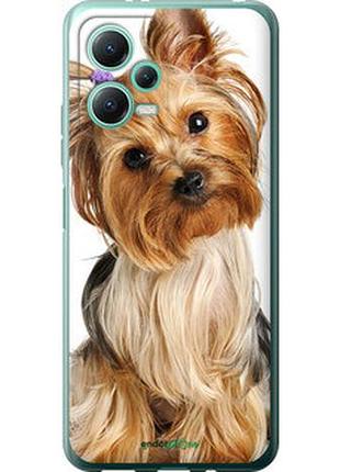 Чехол на xiaomi redmi note 12 5g йоркширский терьер с хвостиком "930u-2934-2448"