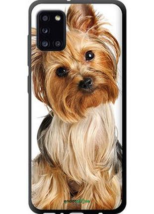 Чехол на samsung galaxy a31 a315f йоркширский терьер с хвостиком "930b-1908-2448"