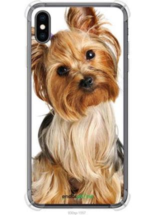 Чохол на iphone xs max йоркширський тер'єр із хвостиком "930sp-1557-2448"