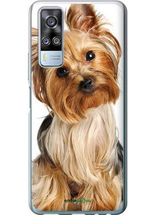 Чехол на vivo y51 2020 йоркширский терьер с хвостиком "930u-2241-2448"