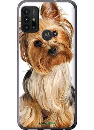 Чохол на motorola moto g10 йоркширський тер'єр із хвостиком "930u-2319-2448"