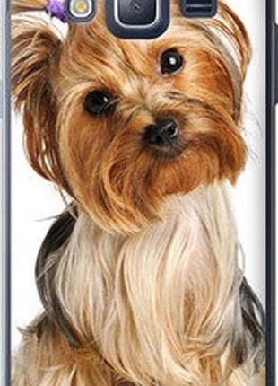 Чехол на samsung galaxy j3 duos (2016) j320h йоркширский терьер с хвостиком "930t-265-2448"