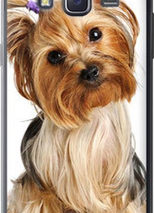 Чехол на samsung galaxy j5 (2015) j500h йоркширский терьер с хвостиком "930u-100-2448"