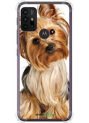 Чохол на motorola moto g20 йоркширський тер'єр із хвостиком "930sp-2461-2448"