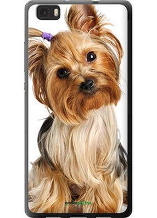 Чохол на huawei ascend p8 lite йоркширський тер'єр з хвостиком "930u-126-2448"