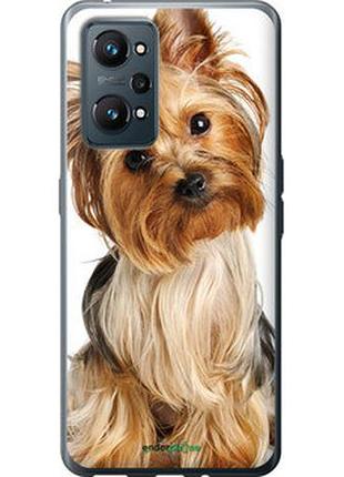 Чехол на realme gt neo 2 йоркширский терьер с хвостиком "930u-2489-2448"