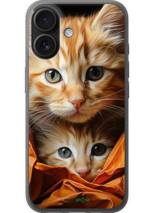 Чехол на iphone 16 котики 2 "5664u-3709-2448"