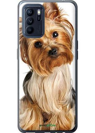 Чехол на oppo reno6 z йоркширский терьер с хвостиком "930u-2477-2448"