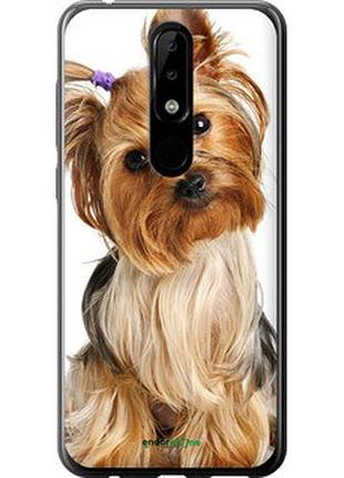 Чехол на nokia 5.1 plus йоркширский терьер с хвостиком "930t-1543-2448"