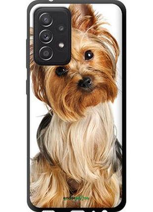 Чехол на samsung galaxy a52 йоркширский терьер с хвостиком "930b-2251-2448"