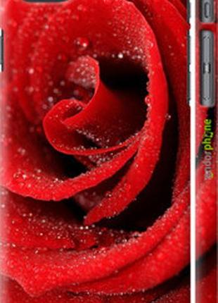 Чохол на iphone se 2020 червона троянда "529m-2013-2448"