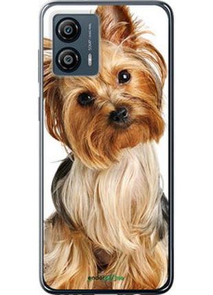 Чохол на motorola moto g53 йоркширський тер'єр із хвостиком "930u-3047-2448"