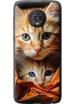 Чехол на motorola moto g6 котики 2 "5664u-982-2448"