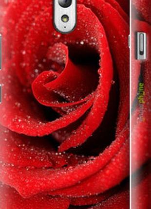 Чехол на lenovo vibe p1m красная роза "529m-154-2448"