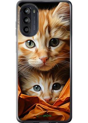Чехол на motorola moto g52 котики 2 "5664u-2691-2448"