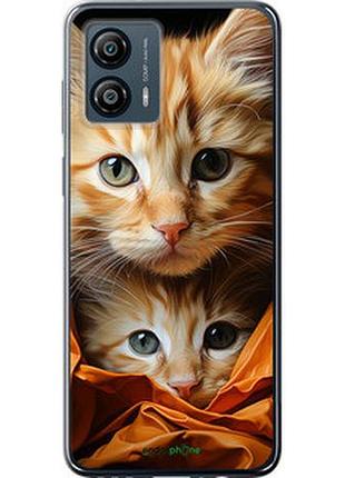 Чехол на motorola moto g53 котики 2 "5664u-3047-2448"